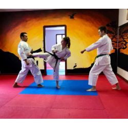 Ados - Adultes: cours traditionnel (14 ans et +) / Jeudi